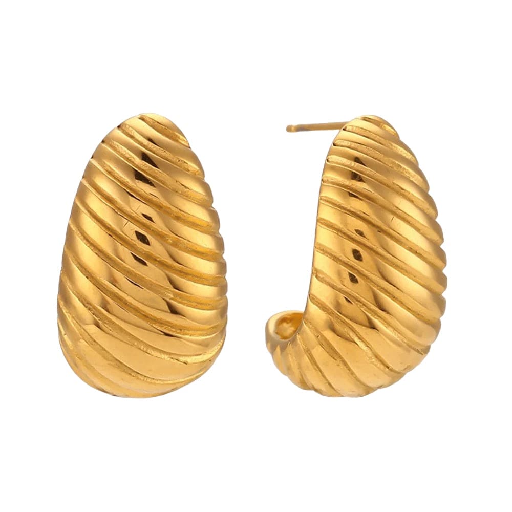 Shell Earrings