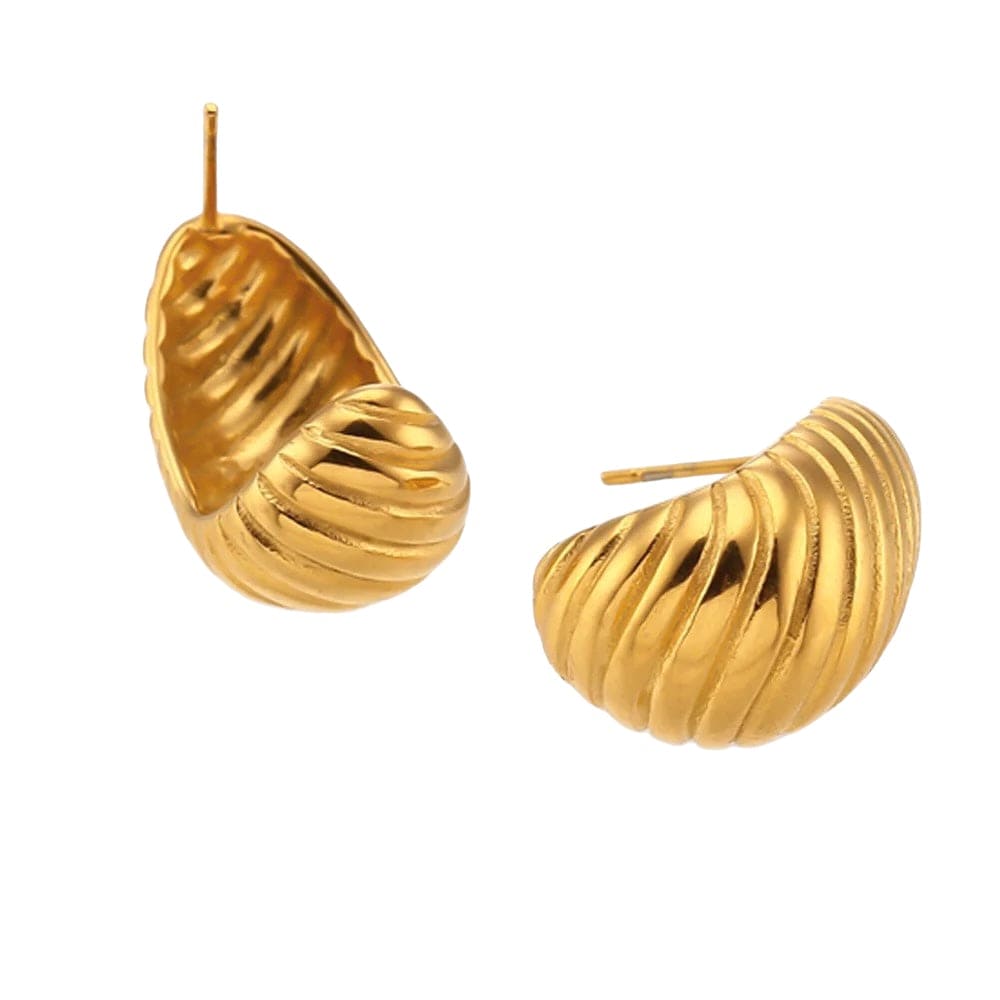 Shell Earrings