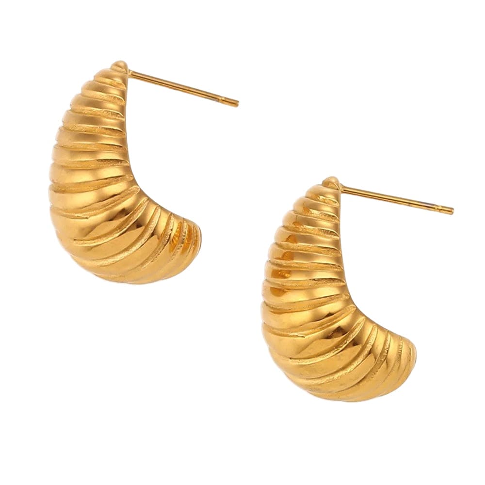 Shell Earrings