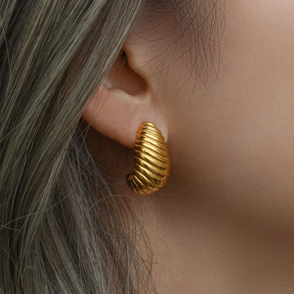 Shell Earrings